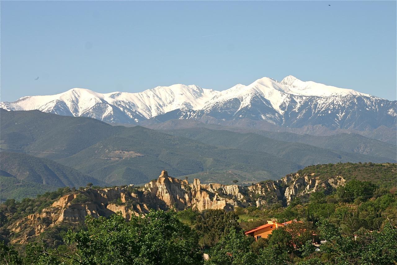 Gite Des Orgues De La Sybille Agave Canigou ภายนอก รูปภาพ