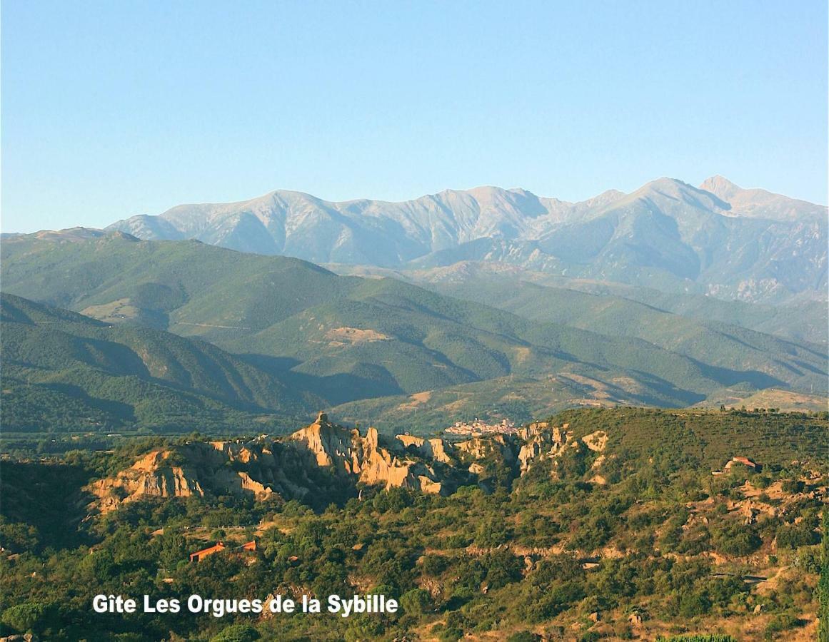 Gite Des Orgues De La Sybille Agave Canigou ภายนอก รูปภาพ