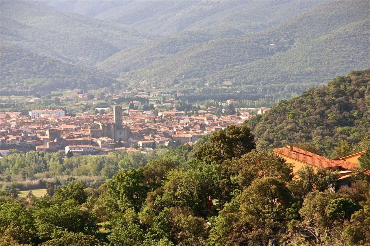 Gite Des Orgues De La Sybille Agave Canigou ภายนอก รูปภาพ